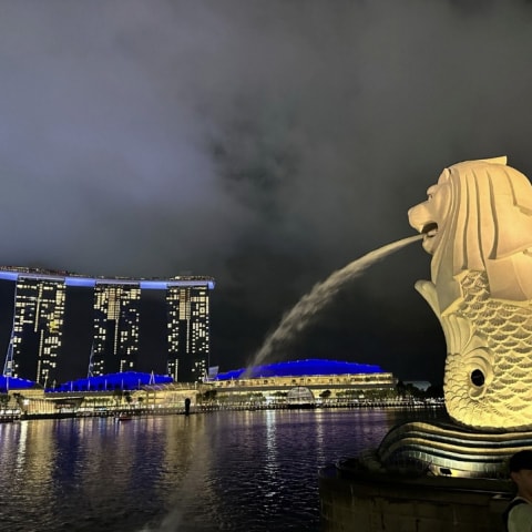 ライトアップされたマーライオンと夜景