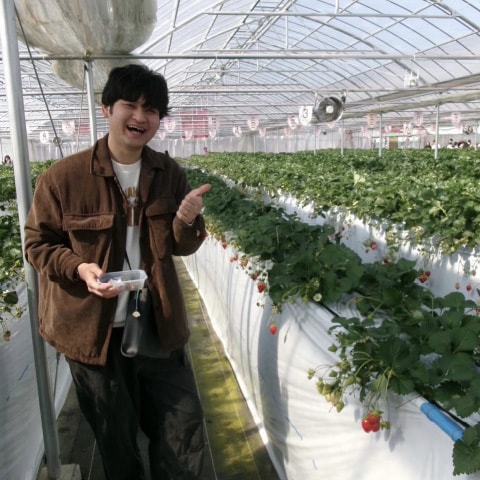 いちご狩りのビニールハウスで撮影する社員
