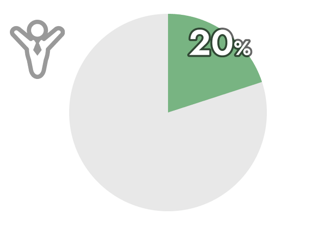 20%